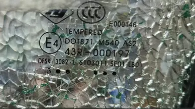 1734276951509.webp